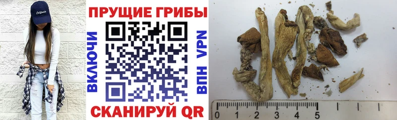 Галлюциногенные грибы мухоморы mega как зайти Скопин